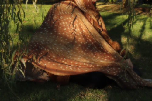 Ceylan Desen Viscon Şal